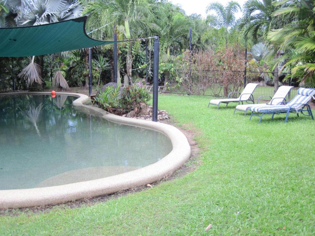 Daintree Wild Bed & Breakfast Zewnętrze zdjęcie
